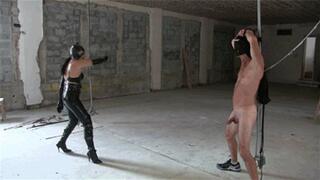 Cat Woman Bullwhips Batman (WMV HD)