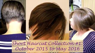 Haircut Collection #1: Oct 2015-May 2016 | Short Hair | Brunette | Clara Crisp | 720