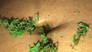 Giantess Pond 1080 Smaller File