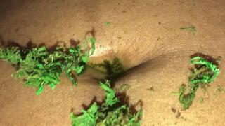 Giantess Pond 1080 PT 1