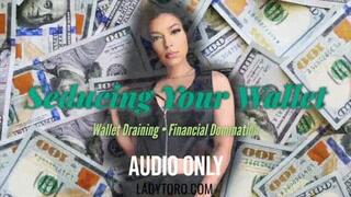Seducing You Wallet - AUDIO ONLY