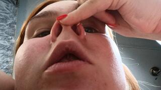 The pig nose of a human pig