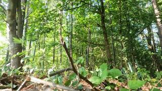 Tiny Human Casey in the Land of Giants POV1080 smaller