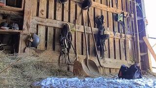 She toekicks my balls to KO angle 2