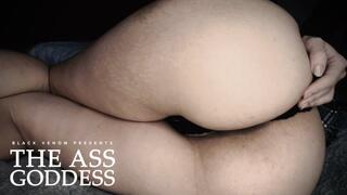 THE ASS GODDESS: Chapter 2 - Findom Ass Worship (WMV)