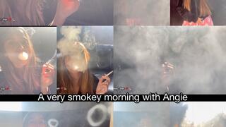 Three scenes in a very smokey morning with Angie!