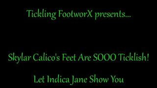 Skylar Calico's Feet are SOOOO Ticklish