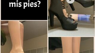 SHOEPLAY AT WORK WITH STOCKINGS