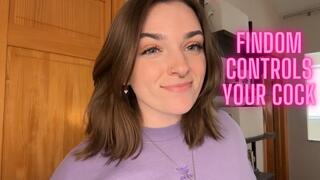 Findom Controls Your Cock