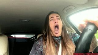 Asleep behind wheel wmv