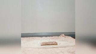 Hucow playing on a cake, moo