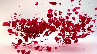 Demoness , I'm a Black Magic Woman a true Goddess made to dominate slaves, full time Pain that is what awaiting you!