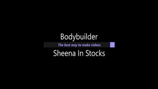 Bodybuilder Sheena In Stocks (Small)
