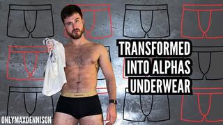 Transformed into alphas underwear