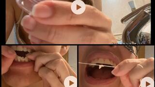 DENTAL FLOSS AND BRUSH