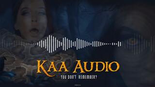 Kaa Audio - You Don't Remember