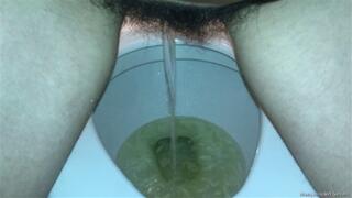 Third Desperate Bushy Pees at My Favorite Laundromat HD