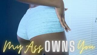 My Ass OWNS You