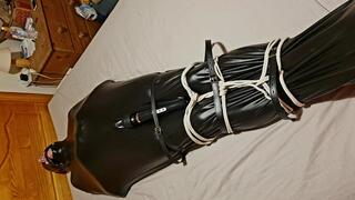 Man in pvc sleepsack teased with wand-BBW domination,BBW bondage,amateur,male bondage,man in bondage,man tied up,bound and gagged man,edging,edged,
