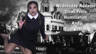Wednesday Addams Small Penis Humiliation And Cum Denial