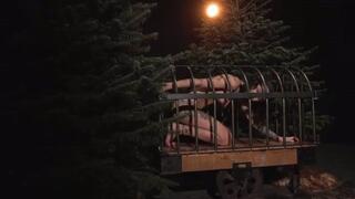 Skinny girl want to get out of the cage - wmv 1080p