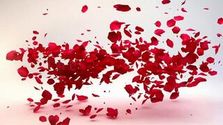 CUM EATING INSTRUCTION