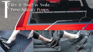 Rev it Hard in Snake Print Stiletto Pumps (mp4 720p)