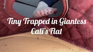 Giantess Cali finds a tiny in her Flat