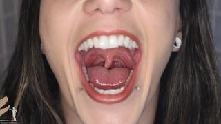 GreasyRose Mouth Tour