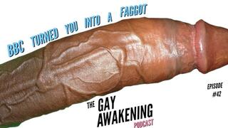 The Gay Awakening Podcast Episode #42 - BBC Turned You Into A Faggot