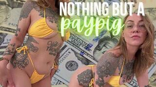 Nothing But A Paypig