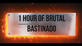 1 hour of brutal bastinado - 12 girls