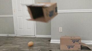 Fat Ass Jiggles and Shakes as Sexy Goddess Stomps on Disgusting Trash 1080