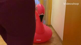 hot flamingo pop