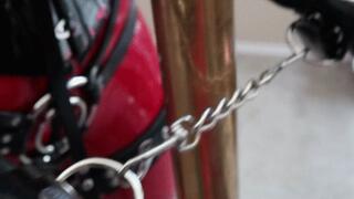 Red Latex Rubberdoll Pole-Chained BDSM & Vibrate