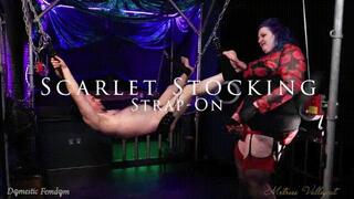 Scarlet Stockings Strap On