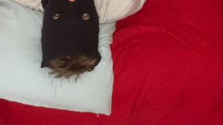 the craziest video I’ve ever made (Can you count the knockouts?)