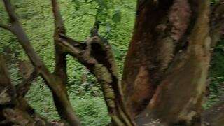 Sweaty Foot Worn Out Leather Boots In Public