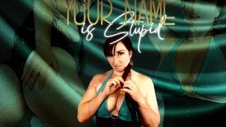 Your Name is Stupid WMV