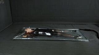 Turns in an evening gown in a vacuum bed