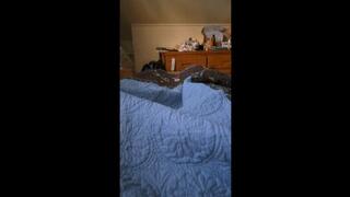 Morning Bed Farts Compilation