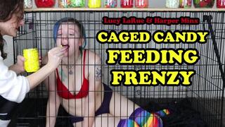 Caged Candy Feeding Frenzy