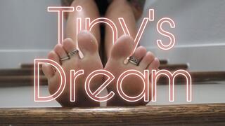 Tiny's Dream - HD