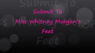 Submit To Miss Whitney Morgan's Feet - mp4