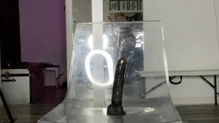 Chloe ducked herself both holes and suck clean