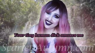 Your small dick amuses the Fairy Queen - WMV HD 1080p