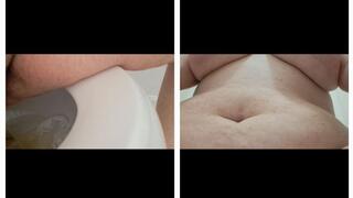 A TO Z OF TOILET BEHAVIOR FROM FART TO PEE TO ANAL BROWNIES