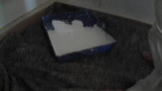 The painter (2017) (MP4)