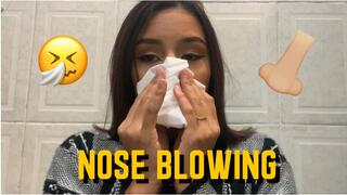 Blowing My Nose Really Loud Pt 2
