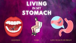 Living in My Stomach - Getting Swallowed, Digested, and Turned into Waste Inside of Giantess Countess Wednesday's Stomach - ft ASMR Sounds of Swallowing, Belly Growls, and Your Tiny Body Inside My Stomach - AUDIO MP4 1080p